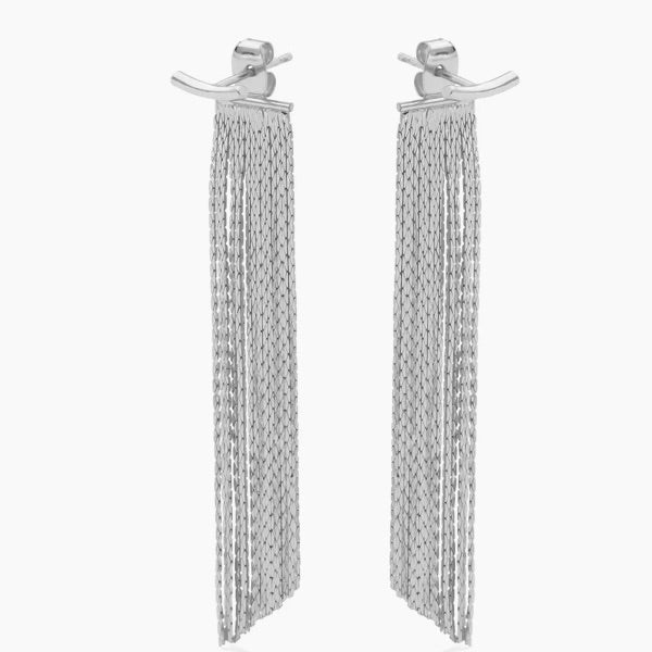 Back Accented Long Earrings