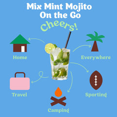 Mint Mojito Cocktail / Mocktail Mixer Singles