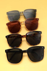 OVERSIZED ACETATE ASSORTED SUNGLASSES