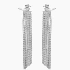 Back Accented Long Earrings