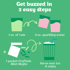 Mint Mojito Cocktail / Mocktail Mixer Singles