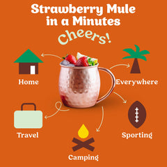 Strawberry Mule Cocktail / Mocktail Mixer Singles