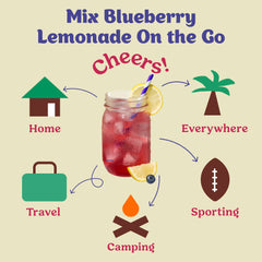Blueberry Lemonade & Cocktail Mixer - Single