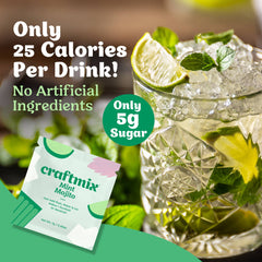 Mint Mojito Cocktail / Mocktail Mixer Singles